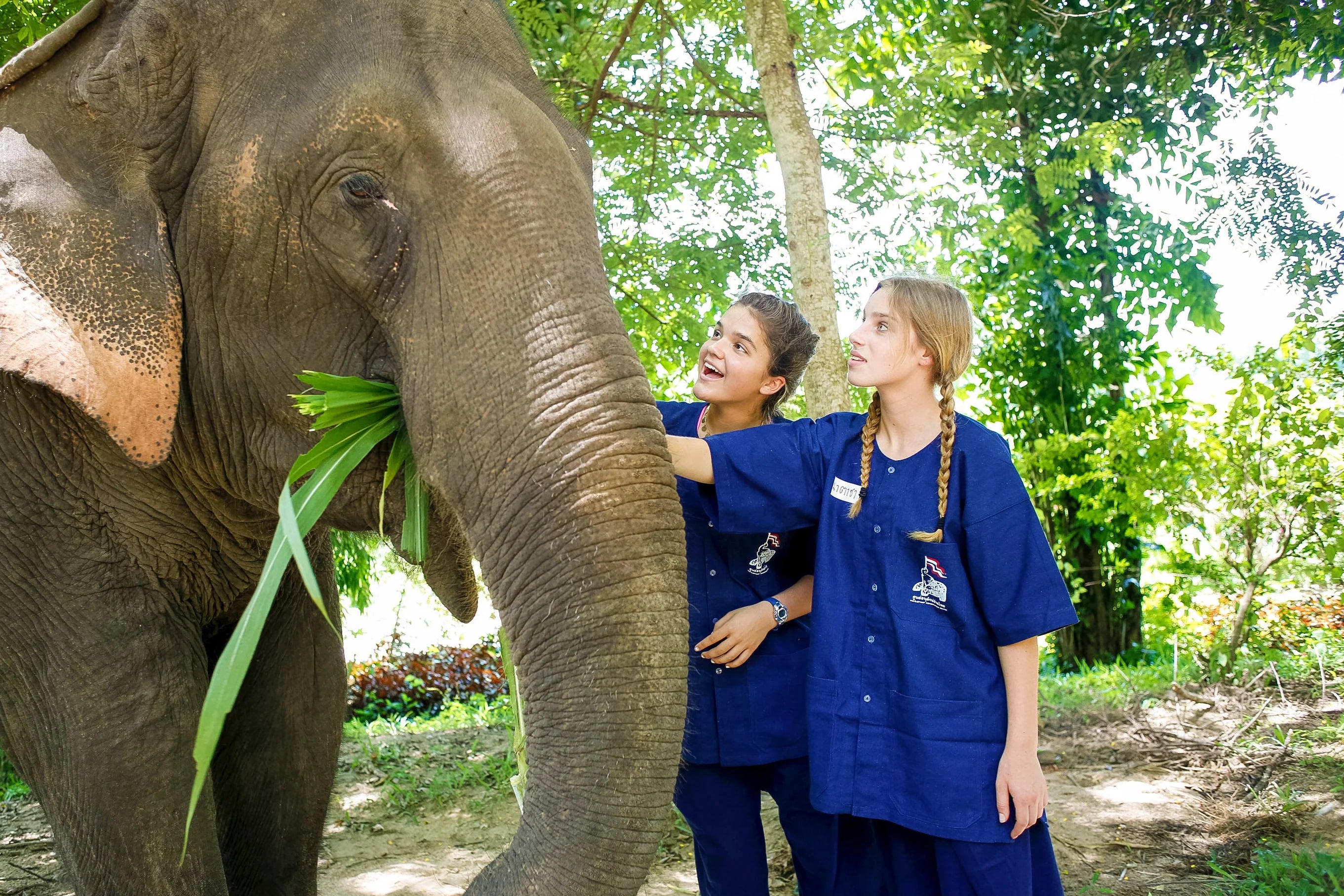 Two young women interacting with an elephant, surrounded by lush greenery, in a wildlife conservation setting.