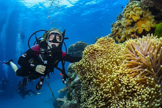 Scuba diver exploring vibrant coral reefs underwater during a summer adventure.