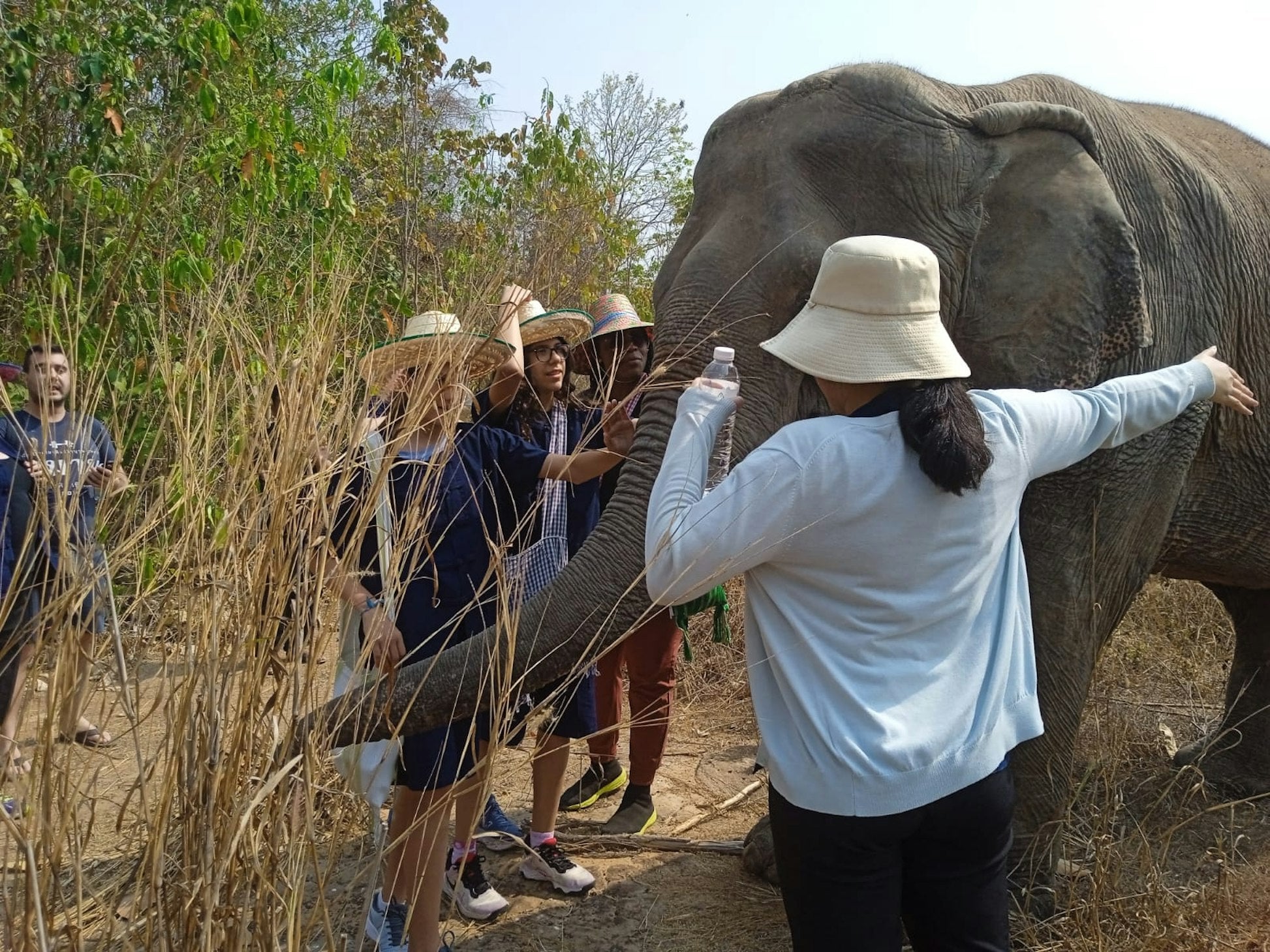 Thailand: Thai Elephant Conservation Project