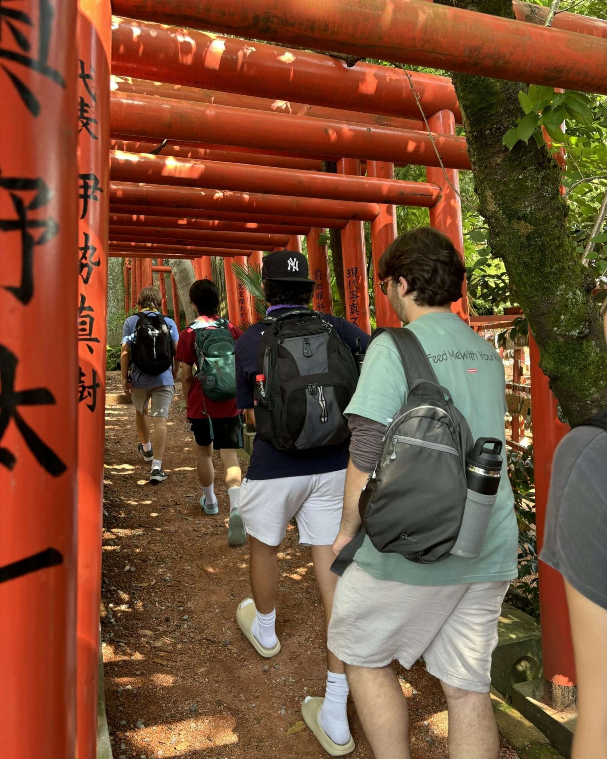 Students exploring a vibrant torii gate pathway in Japan, enjoying a summer program adventure in Tokyo.