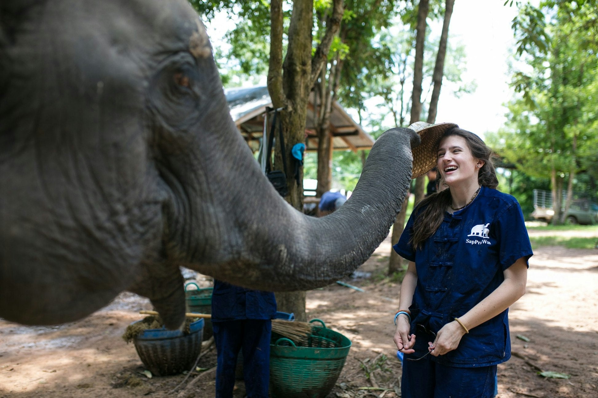 Thailand: Thai Elephant Conservation Project