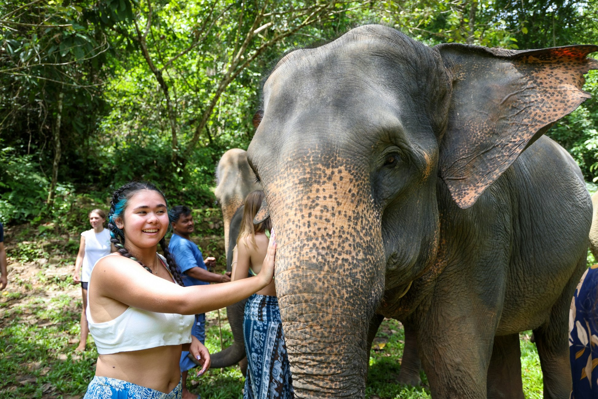 Thailand: Marine and Rainforest Conservation