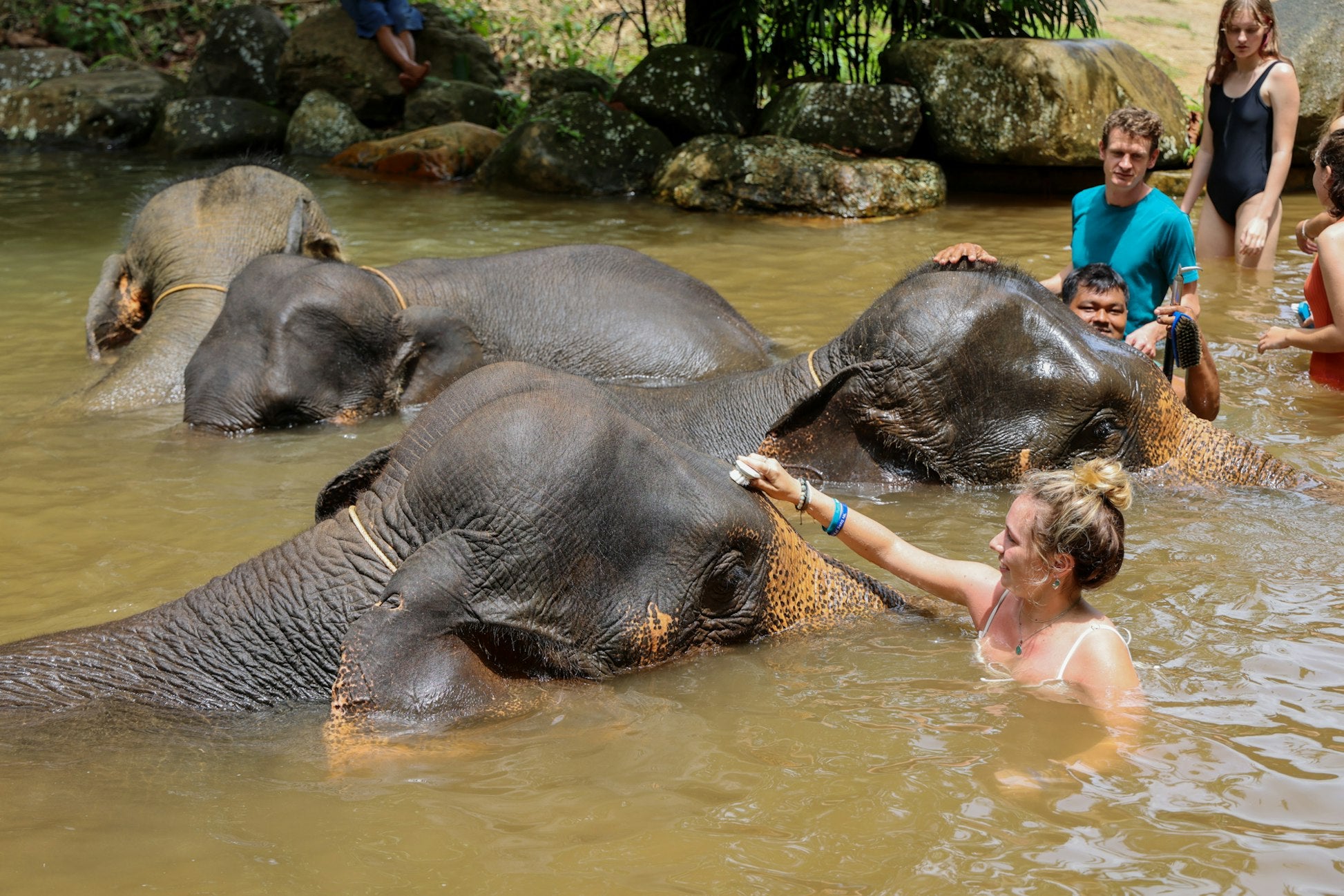 Thailand: Marine and Rainforest Conservation