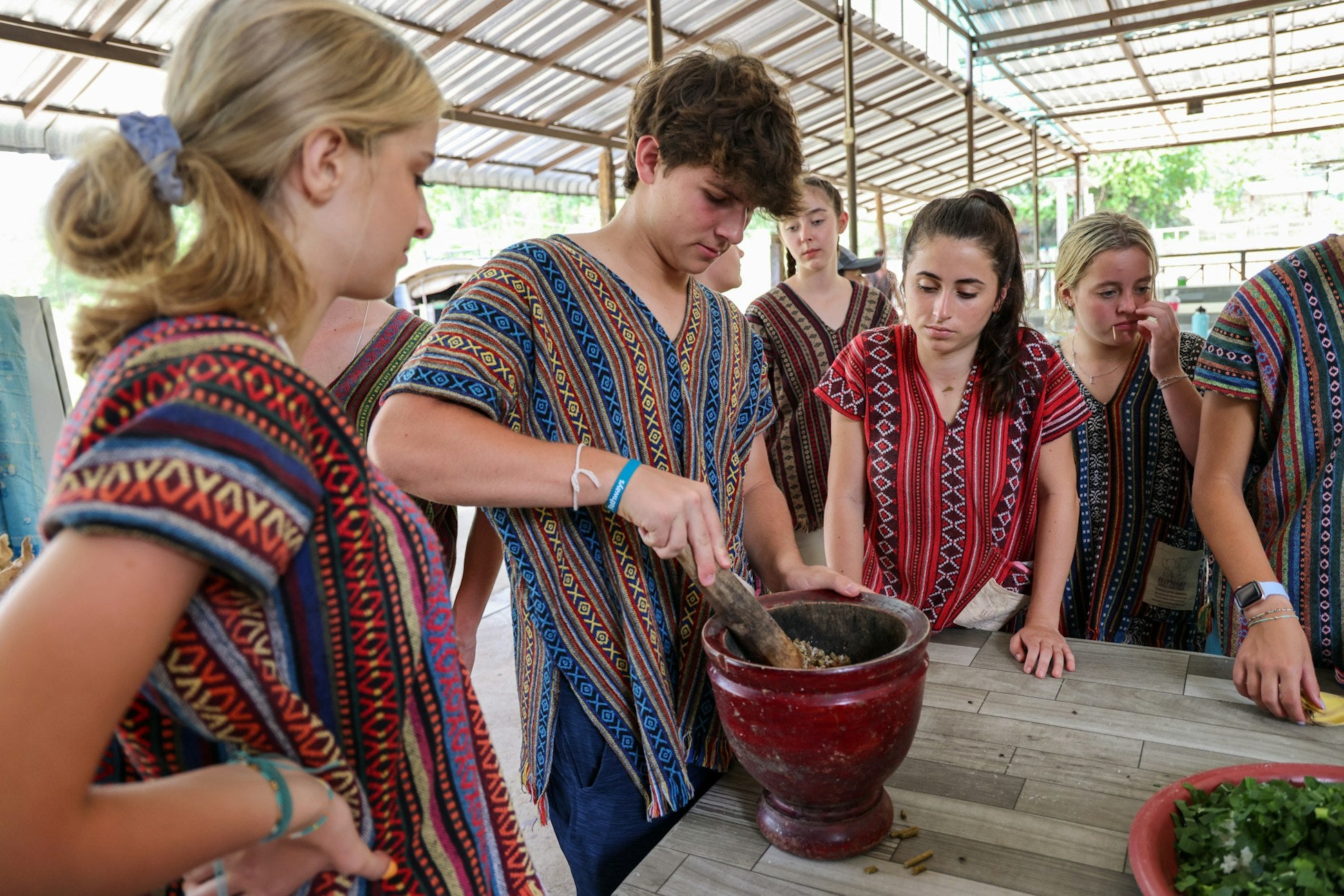 Thailand: Thai Elephant Conservation Project