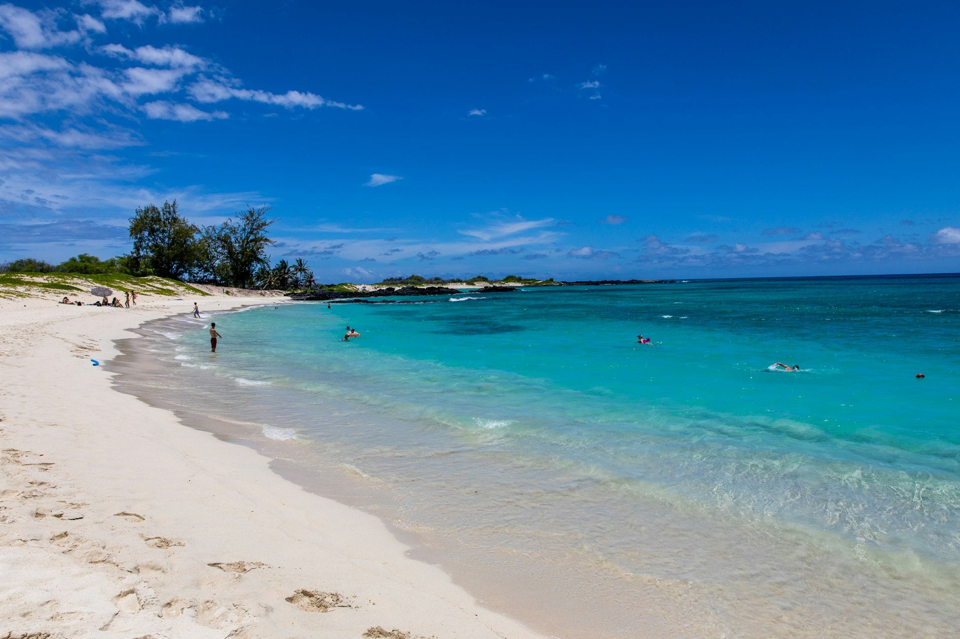 Hawaii: Surf, Snorkel, and Service