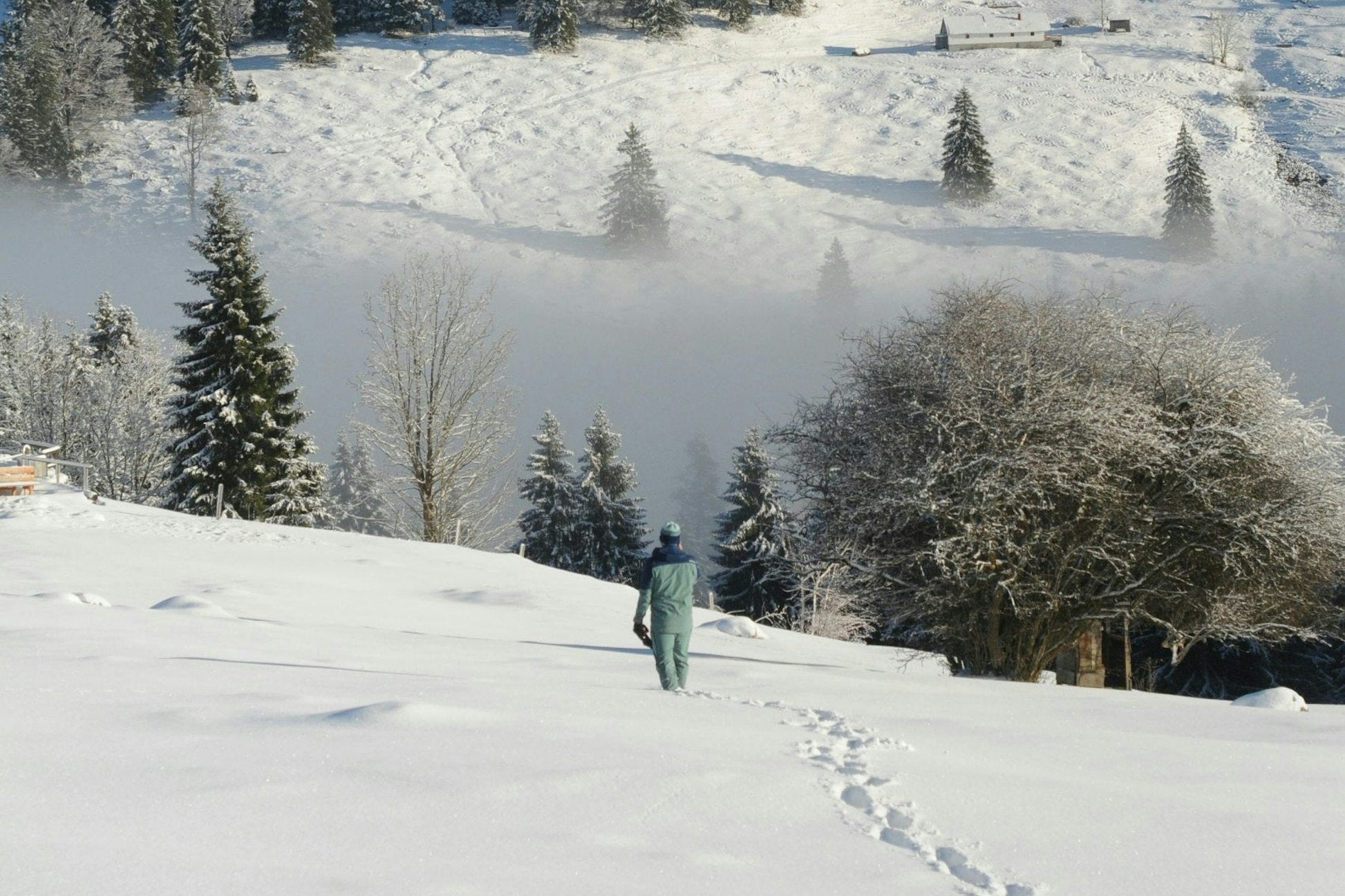 Germany & Austria: Winter Ski & Snow