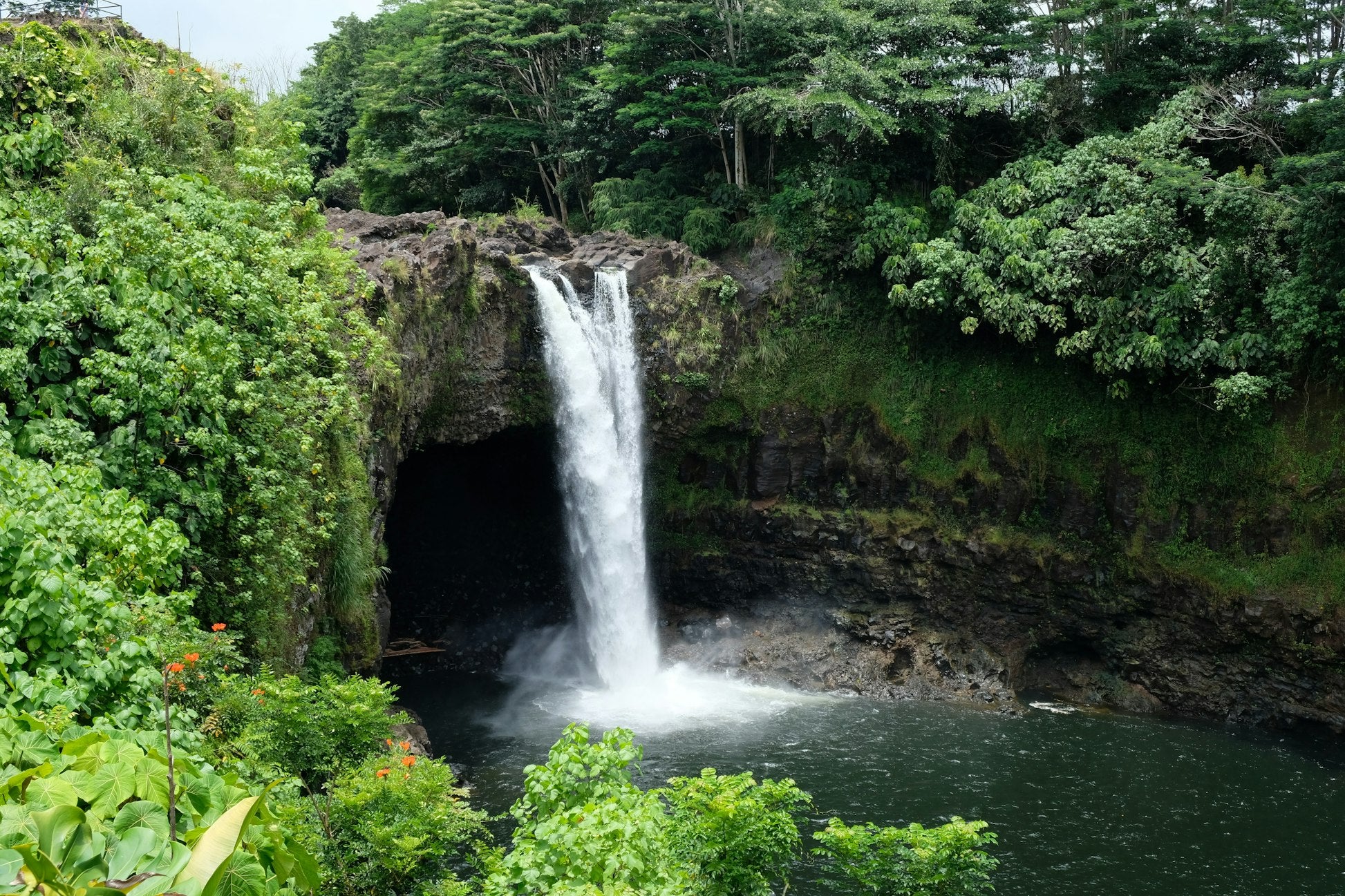 Hawaii: Surf, Snorkel, and Service